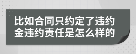 比如合同只约定了违约金违约责任是怎么样的