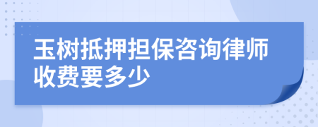 玉树抵押担保咨询律师收费要多少