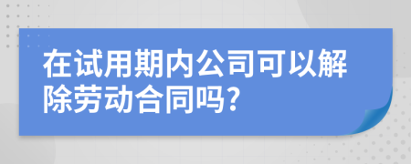 在试用期内公司可以解除劳动合同吗?