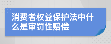 消费者权益保护法中什么是审罚性赔偿