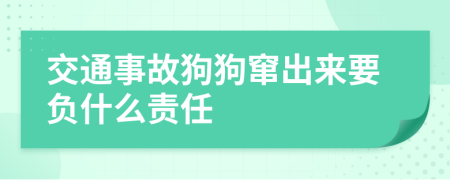 交通事故狗狗窜出来要负什么责任