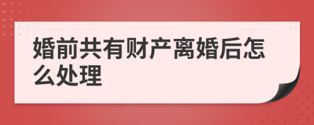 婚前共有财产离婚后怎么处理