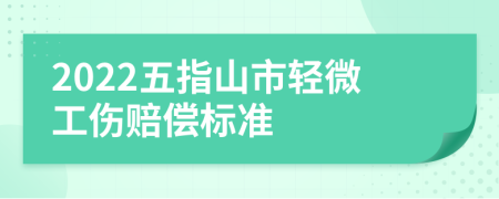 2022五指山市轻微工伤赔偿标准