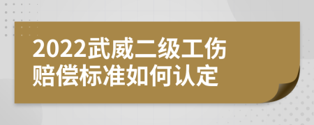 2022武威二级工伤赔偿标准如何认定