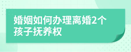 婚姻如何办理离婚2个孩子抚养权