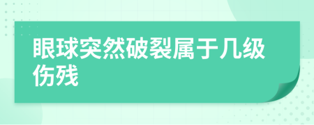 眼球突然破裂属于几级伤残