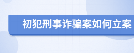 初犯刑事诈骗案如何立案