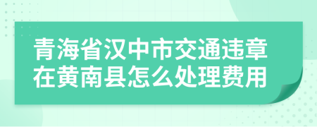 青海省汉中市交通违章在黄南县怎么处理费用