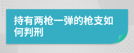 持有两枪一弹的枪支如何判刑