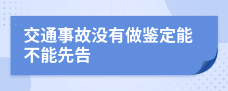 交通事故没有做鉴定能不能先告