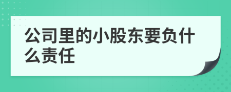 公司里的小股东要负什么责任