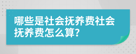 哪些是社会抚养费社会抚养费怎么算？