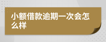 小额借款逾期一次会怎么样