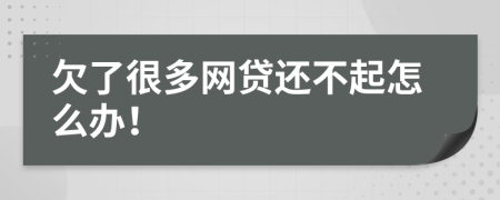 欠了很多网贷还不起怎么办！