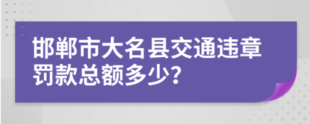 邯郸市大名县交通违章罚款总额多少？