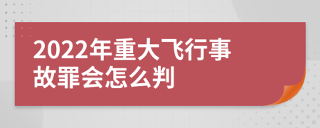 2022年重大飞行事故罪会怎么判