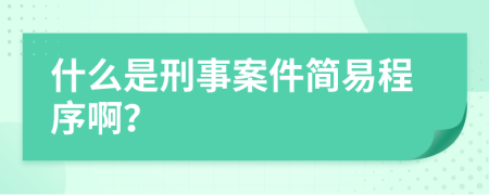 什么是刑事案件简易程序啊？