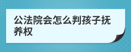 公法院会怎么判孩子抚养权