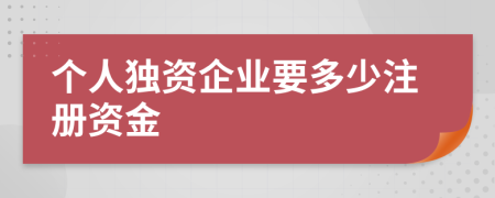 个人独资企业要多少注册资金