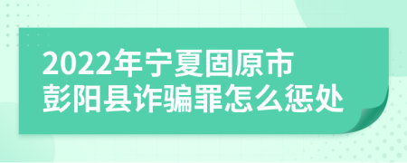 2022年宁夏固原市彭阳县诈骗罪怎么惩处