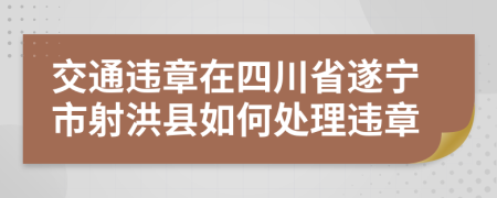 交通违章在四川省遂宁市射洪县如何处理违章