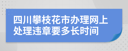 四川攀枝花市办理网上处理违章要多长时间
