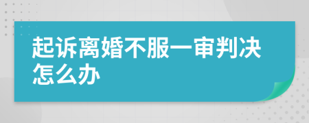 起诉离婚不服一审判决怎么办