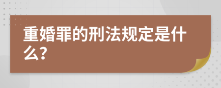 重婚罪的刑法规定是什么？