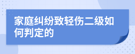 家庭纠纷致轻伤二级如何判定的