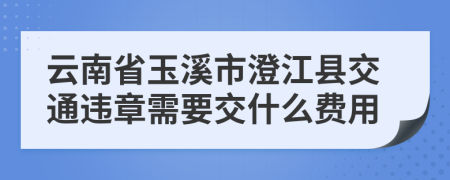 云南省玉溪市澄江县交通违章需要交什么费用