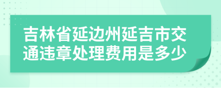 吉林省延边州延吉市交通违章处理费用是多少