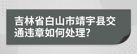 吉林省白山市靖宇县交通违章如何处理?