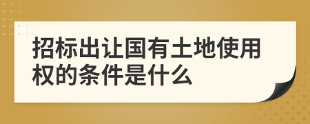 招标出让国有土地使用权的条件是什么