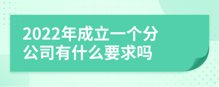 2022年成立一个分公司有什么要求吗