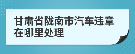 甘肃省陇南市汽车违章在哪里处理