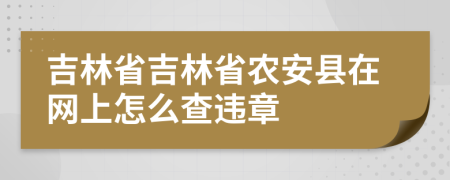 吉林省吉林省农安县在网上怎么查违章