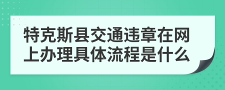 特克斯县交通违章在网上办理具体流程是什么