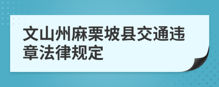 文山州麻栗坡县交通违章法律规定