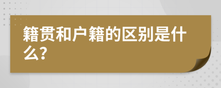 籍贯和户籍的区别是什么？