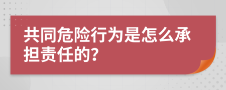 共同危险行为是怎么承担责任的？