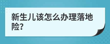 新生儿该怎么办理落地险？