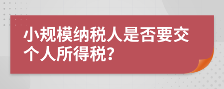 小规模纳税人是否要交个人所得税？