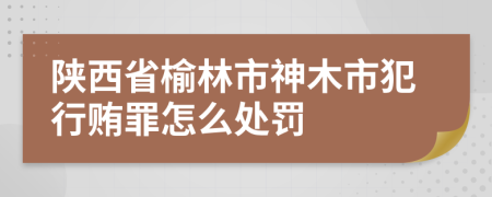 陕西省榆林市神木市犯行贿罪怎么处罚