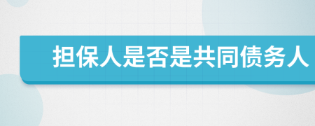 担保人是否是共同债务人