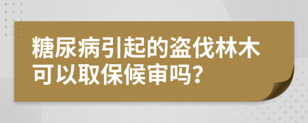 糖尿病引起的盗伐林木可以取保候审吗？