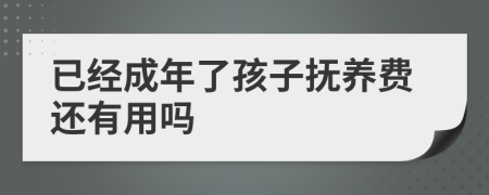已经成年了孩子抚养费还有用吗