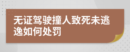 无证驾驶撞人致死未逃逸如何处罚