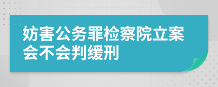 妨害公务罪检察院立案会不会判缓刑