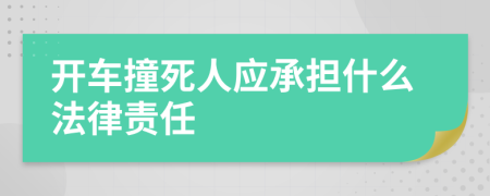 开车撞死人应承担什么法律责任