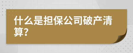 什么是担保公司破产清算？